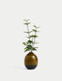 Marks & Spencer "Artificial Eucalyptus in Ceramic Pot"